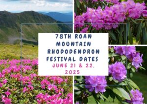 Roan Mountain Recreation Area to reopen Friday